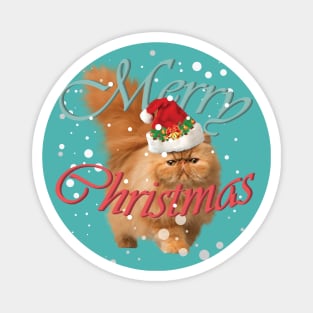 Cat - Merry Christmas Magnet